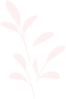 Decorazione 12