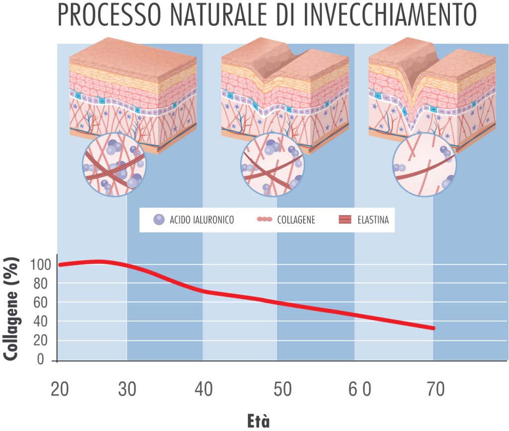 collagene e invecchiamento della pelle